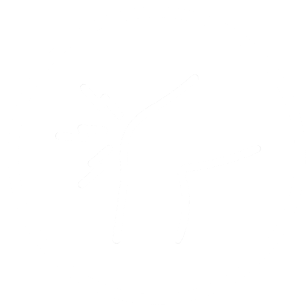 Severe knee osteoarthritis stage 4 icon